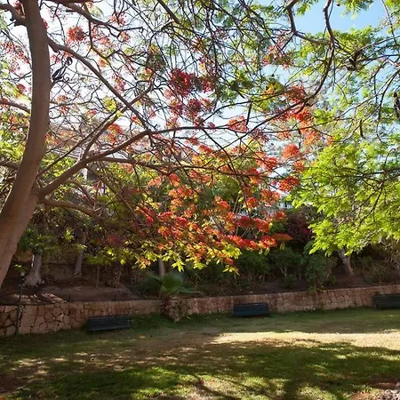 Apartmán Modern 2 Bed Penthouse Americas Centre Of Town With A Pool And Ocean Views *
