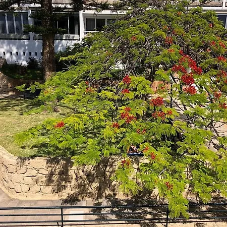 Modern 2 Bed Penthouse Americas Centre Of Town With A Pool And Ocean Views