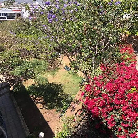 Modern 2 Bed Penthouse Americas Centre Of Town With A Pool And Ocean Views * Playa de las Americas (Tenerife)